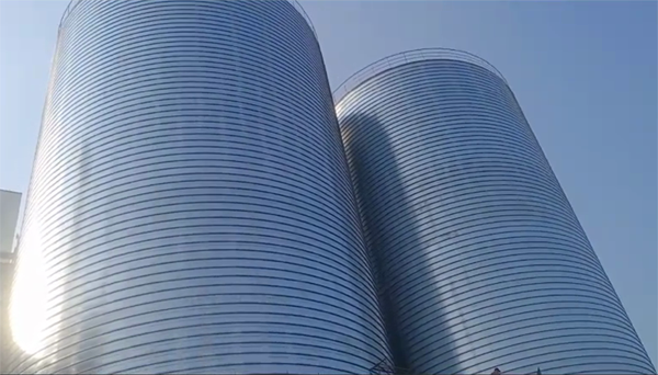 郾城2座混凝土高架卷板仓